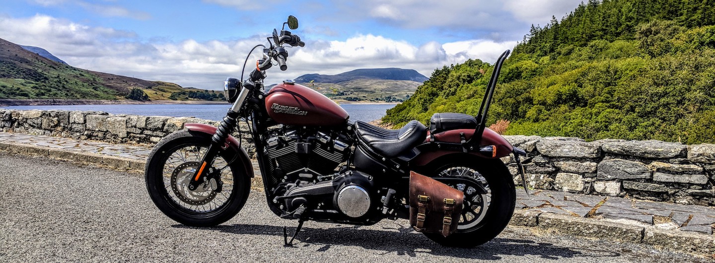 Street Bob Journal: Week 6/7